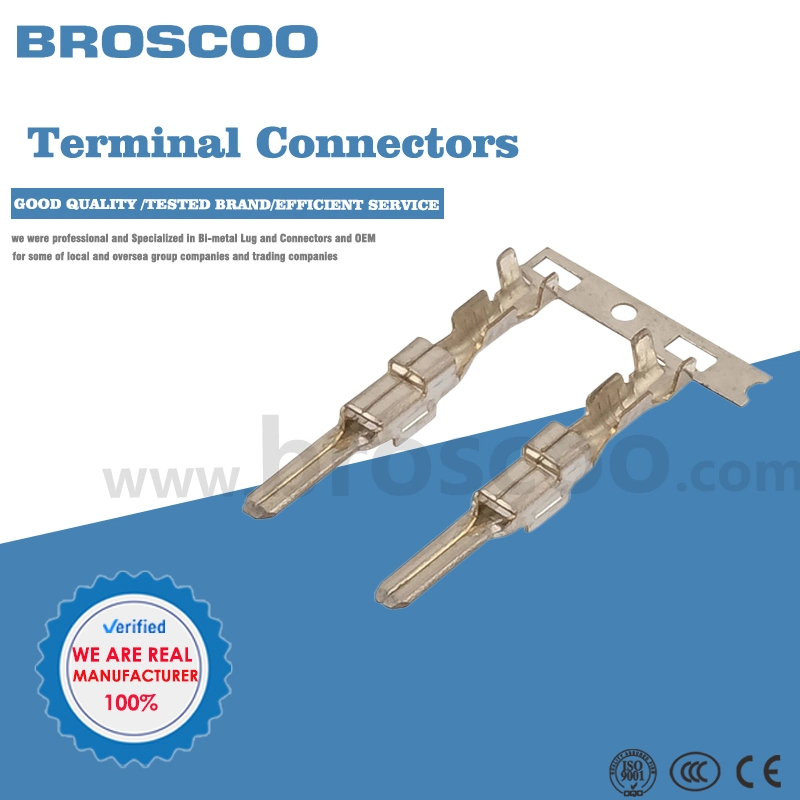 Supply Domestic Terminal 2.3 Series Male Terminal 3500/Disc for Sale in Batches