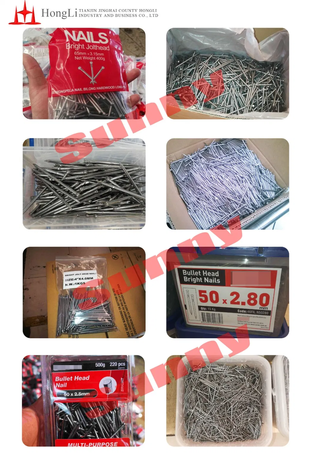 Tianjin Hongli High Quality Bullet Head Nail Headless Wire Nails Polish Brad Nail