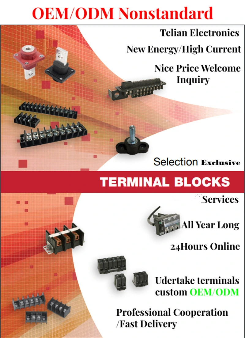 200A/600V Dual Row Screw Terminal Blocks Electrical Wire Block Custom Way/Pole Barrier Terminal Block for Distribution Box