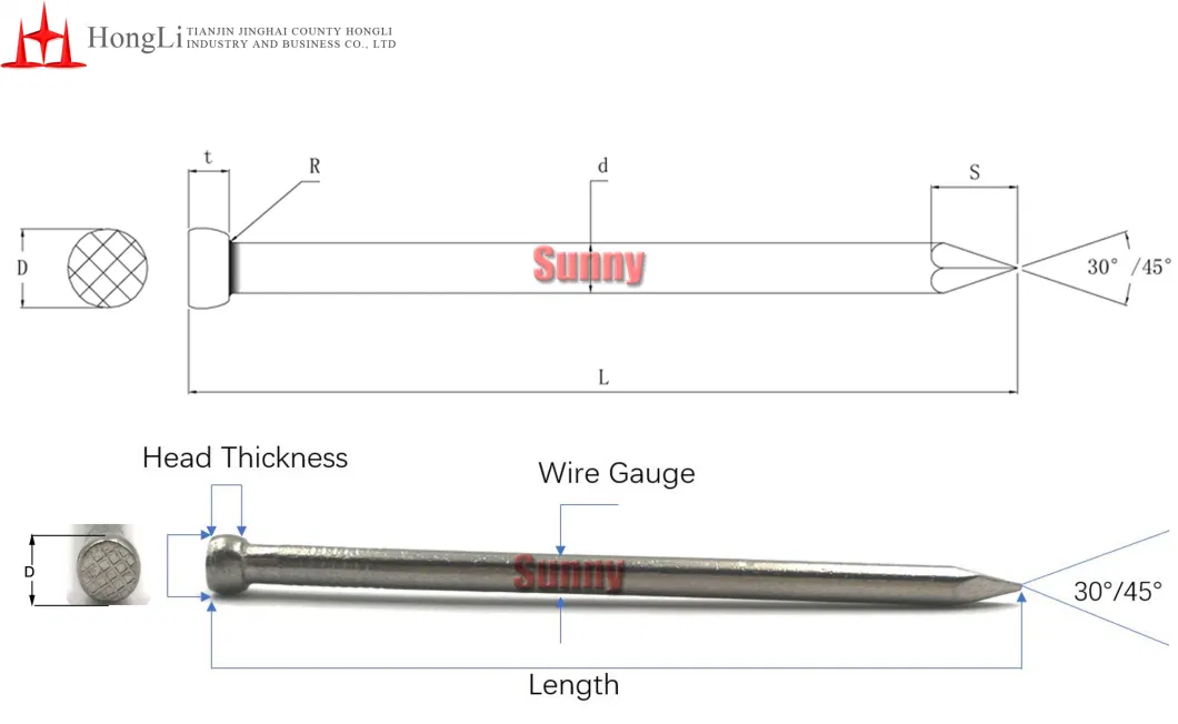 Tianjin Hongli High Quality Bullet Head Nail Headless Wire Nails Polish Brad Nail