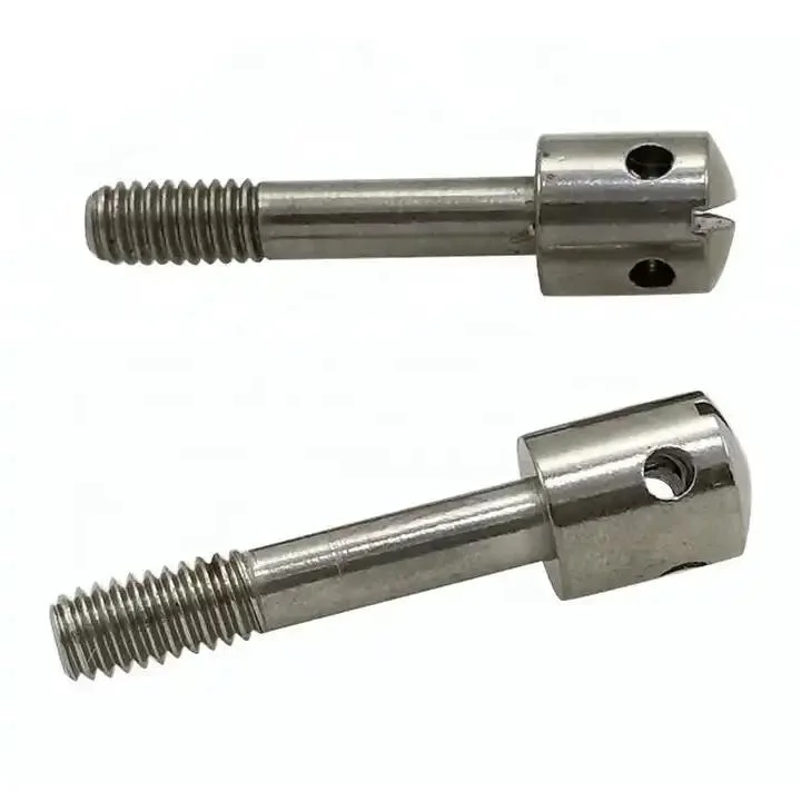 Made in China Carbon Steel 304 316 Stainless Steel DIN404 Slot Hole Spherical Cheese Head Electric Meter Slotted Capstan Sealing Screws