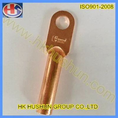 El doble de terminales de cobre el orificio de venta al por mayor directamente del fabricante (HS-DZ-0042)