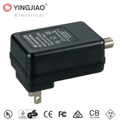 18W Yingjiao/OEM/ODM DC Adaptador de alimentación para CATV
