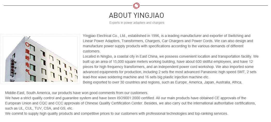 Yingjiao&OEM 18W DC Power Adapter