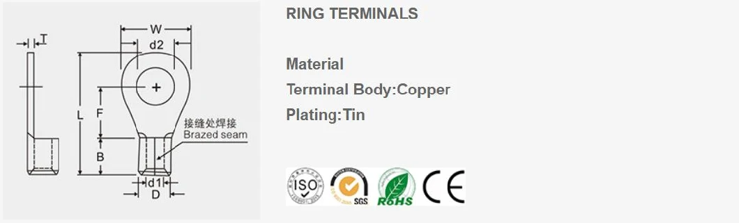 Terminal, Insulated Terminal, Crimp Terminal, Ring Terminal, Vinly Insulated, Cable Terminal, Wire Terminal, Ring Naked Terminal, Non-Insulated with Brazed Seam