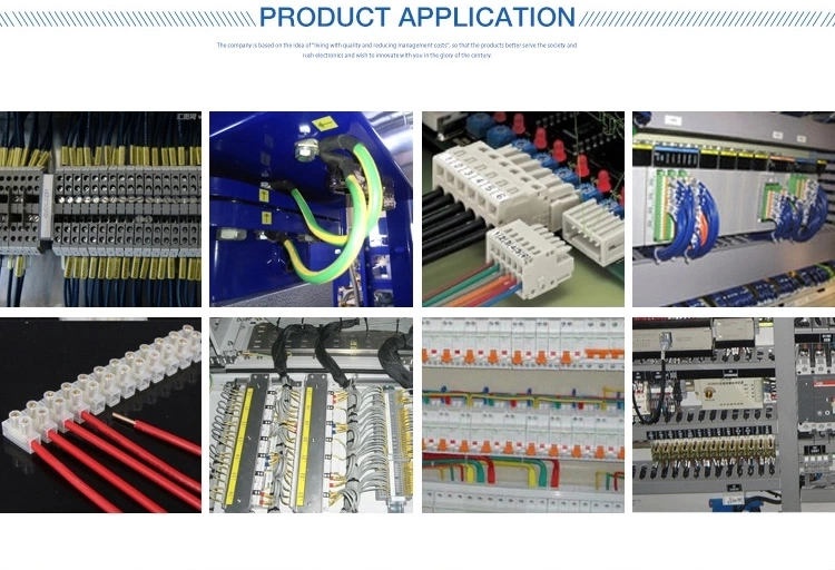 X3 Series Terminal Block 12 Position PE Electrical Dual Row Connector