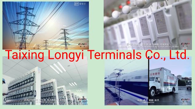 Non-Insulated Terminals, Ring Shape, T2 Copper, Tin Plating, Applicable to Wind Power Generation, Rail Transit Industry, German Standard Terminals