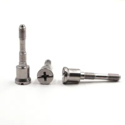  Accessori per interruttori automatici, terminali a croce, viti personalizzate, in acciaio inox non standard, a taglio Viti a testa cilindrica