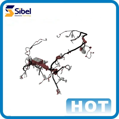  Cavo femmina a 2 pin maschio con passo da 2 mm pH 2.0 personalizzato Filo dei terminali femmina con connettore maschio 2p Micro JST pH Cavi connettori