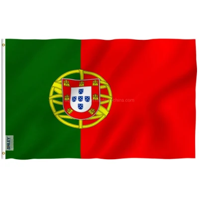 Vendita all&prime;ingrosso plastica PVC Flex Banner finestra Custom Car Flag diverso Taglia poliestere tessuto nazionale Country Banner Custom Flag (11)