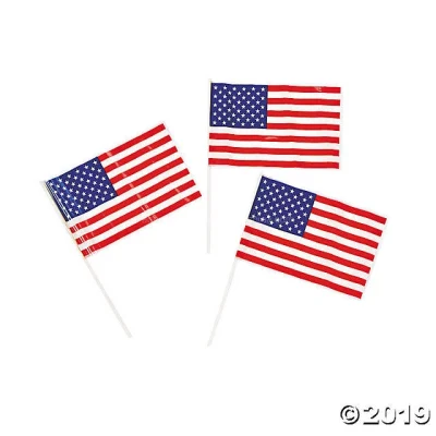 Vendita all&prime;ingrosso plastica PVC Flex Banner finestra Custom Car Flag diverso Taglia poliestere tessuto nazionale Country Banner Custom Flag (11)