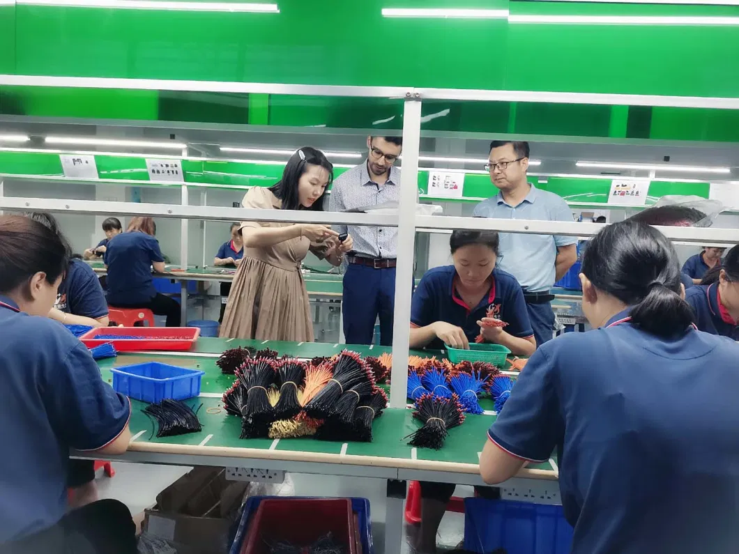 China Wiring Harness Customization Factory PVC Ring Terminal Wiring