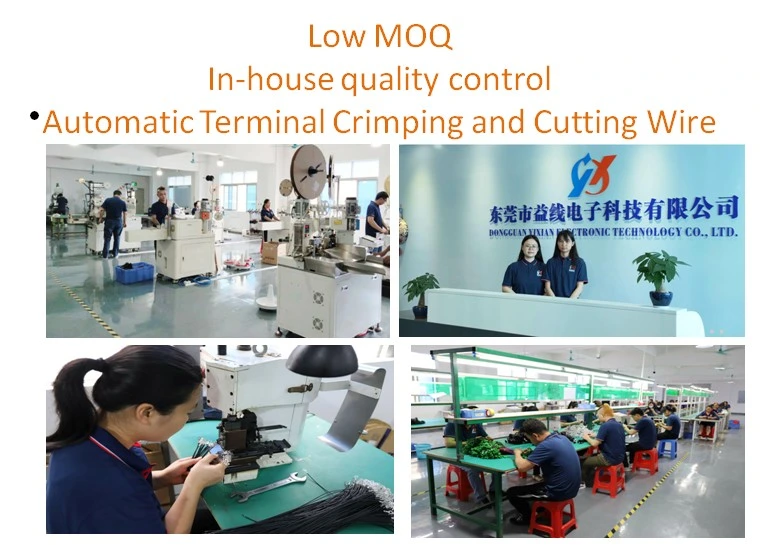 China Wiring Harness Customization Factory PVC Ring Terminal Wiring