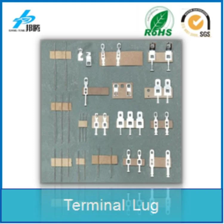 2 Pin Flat Stainless Steel Terminal Lugs, Connector Terminal PCB Terminals Electric Insulation Barley for Battery PCB Board Terminal Block Terminal Board Motor