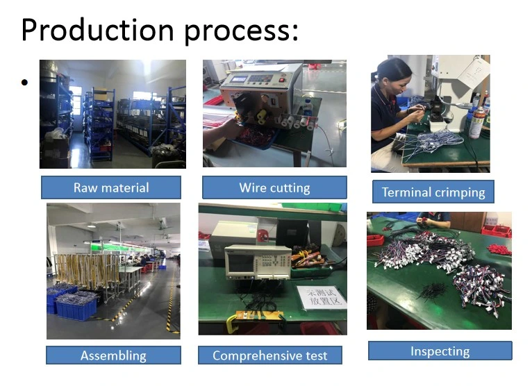 China Wiring Harness Customization Factory PVC Ring Terminal Wiring