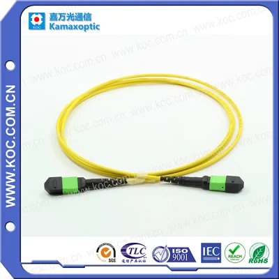 Fiber Optic Patch Cord Cable MPO/MTP