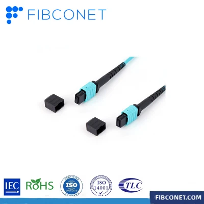 FTTH Fiber Optic Waterproof Patch Cord with Customized MPO Connector
