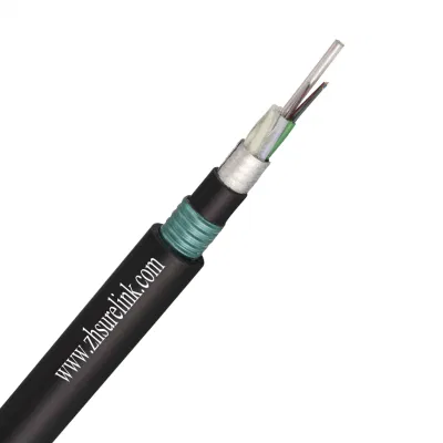 Outdoor Direct Buried Underground Single Mode 48core 96core Fiber Optical Cable GYTA53 Armored Double Jacket Fibre Cable