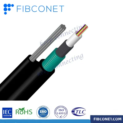 FTTX Outdoor Indoor Sm/Dm/mm G652D/G657A1 Flat ADSS TPU Fiber Optic/Optical Drop Cable