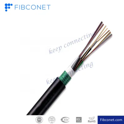 FTTH Fiber Single Mode Multi-Mode 2~12 Core Gyxtc8s Cable Indoor Drop Cable Gjxh-1b6a Support ADSS Fibre Optic Cable