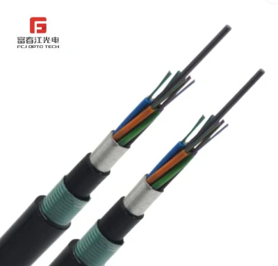 Fcj Factory Price Multi Mode Gjfjhv G652D Indoor Optical Fiber Cable