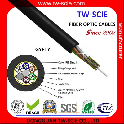 Outdoor Multimode Om1/Om2/Om3/Om4 Optical Fiber Cable 12/24 Core