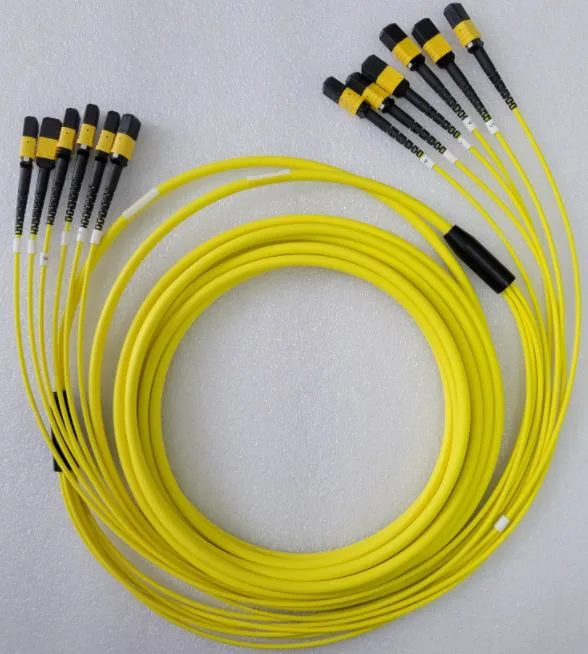 12 Fibre MTP (MPO) Patch Cord OS2 Single Mode Trunk Cable