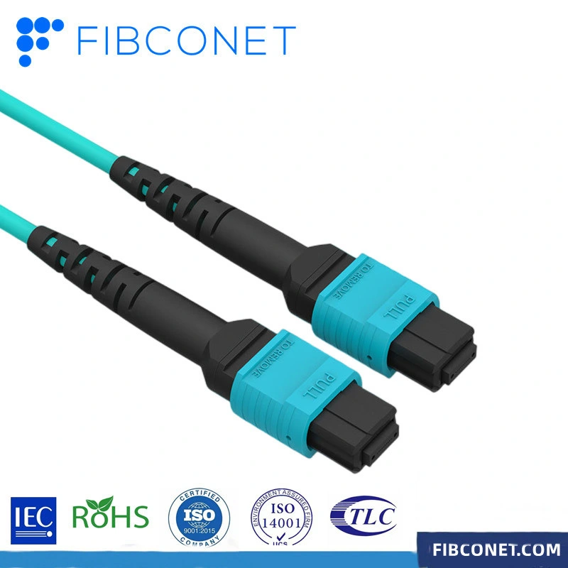 Sc/St/FC/LC/E2000/MPO/MTP Duplex Single Mode PC/Upc/APC Sm mm 0.9/1/3mm Waterproof Patch Cable Customized Fiber Optic Patch Cord