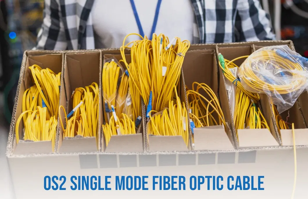 30meters 100FT Sc to Sc Fiber Optic Cable Jumper Simplex Single Mode 9/125 Sc-Sc Optical Patch Cord