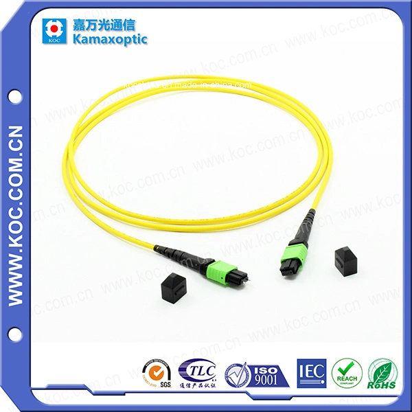 MPO/APC-MPO/APC Optical Fibre Cable Manufacturer