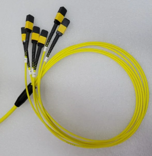 12 Fibre MTP (MPO) Patch Cord OS2 Single Mode Trunk Cable