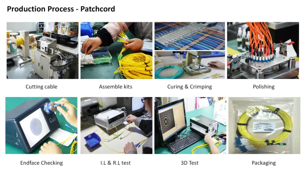 8/12/16/24/72/144fiber Sm/Om3/Om4 Qsfp 40g MPO MTP to 10g LC/Sc Breakout Cable Fiber Optic Patch Cord