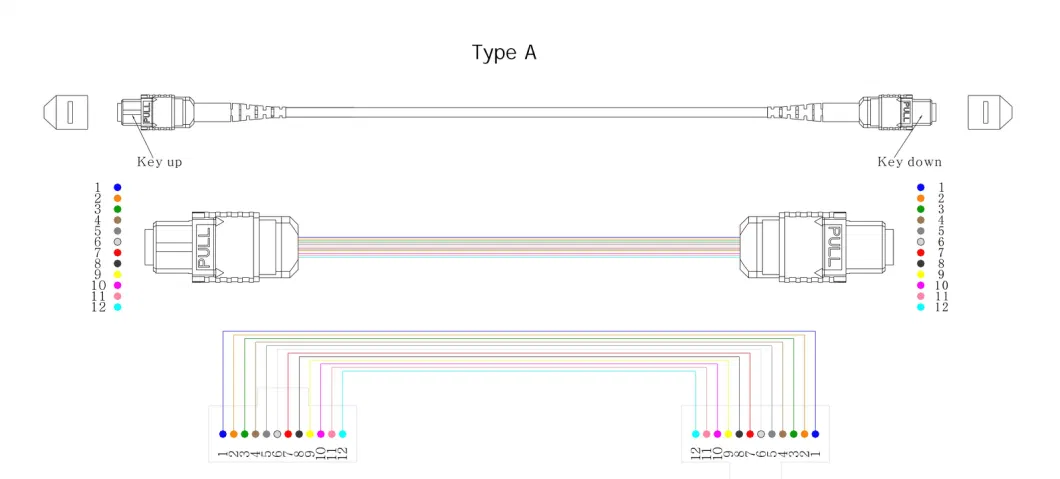 12/24/48/96/144cores LC/Sc/St/FC MPO/MTP Connector FTTH Indoor Outdoor Armored Drop LSZH PVC Cable Pigtail Fiber Optic Patch Cord