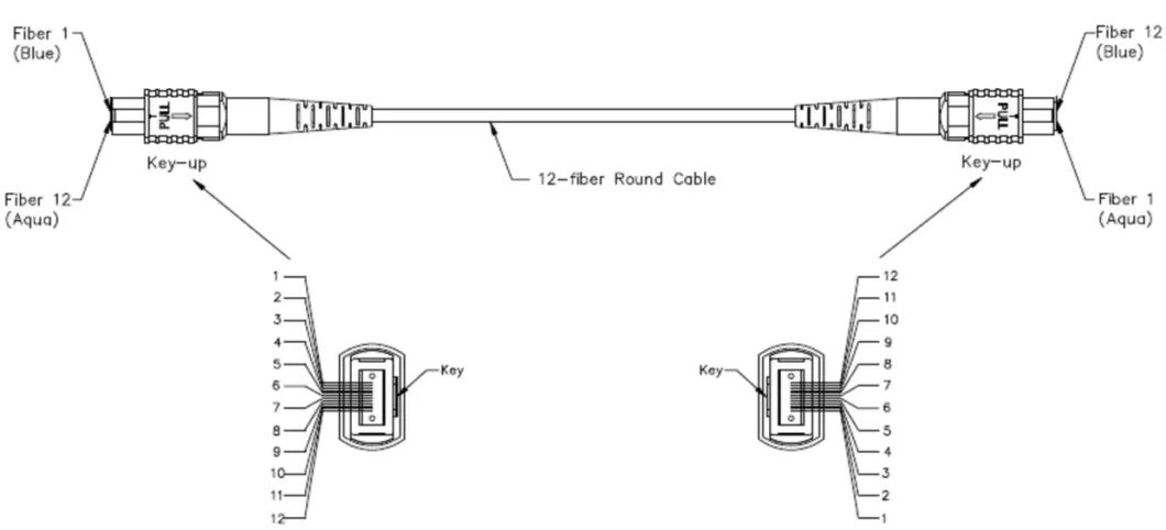 MPO Singlemode Multimode Fiber Optic Patch Cord