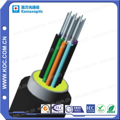 12core LWL-Anschlusskabel mit wasserdichtem Pigtail i Koc