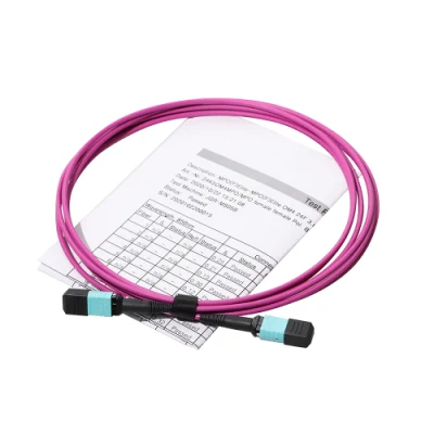  Werksverkauf 8f 12f 24f LC/SC/St/FC MPO/MTP-Verbindungskabel Lwl-Patchkabel/Patchkabel