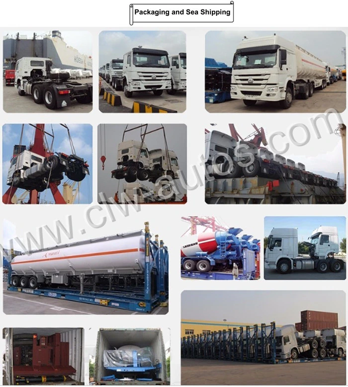 Refrigerated Box with Thermo King Refrigerator and 4*2 HOWO Chassis Refrigerated Truck