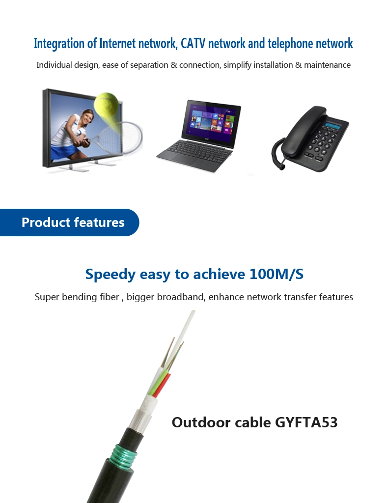 High-Class G652D Fiber Optic Cable of Armored Type