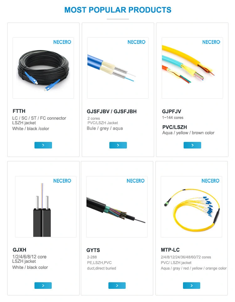 Customized Length Single-Mode OS2 12 Core FC Upc Fiber Optic Pigtail Cable