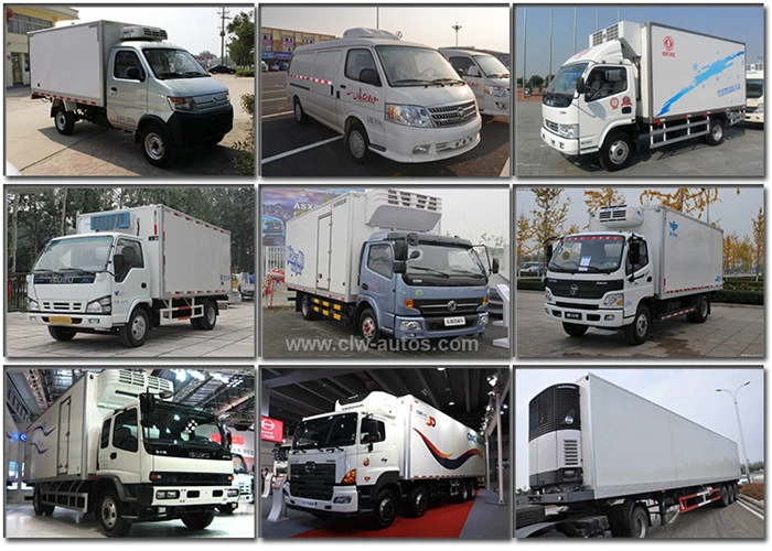 Diesel Engine Isuzu Refrigerated Truck Freezer Container Body Cargo Box for Food Transport