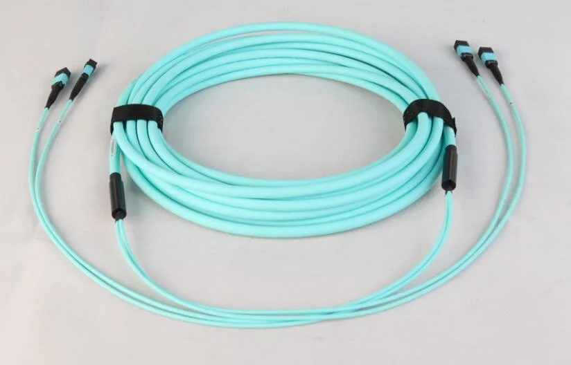 12/24 Core Multi-Mode MTP Jumper MPO Patchcord