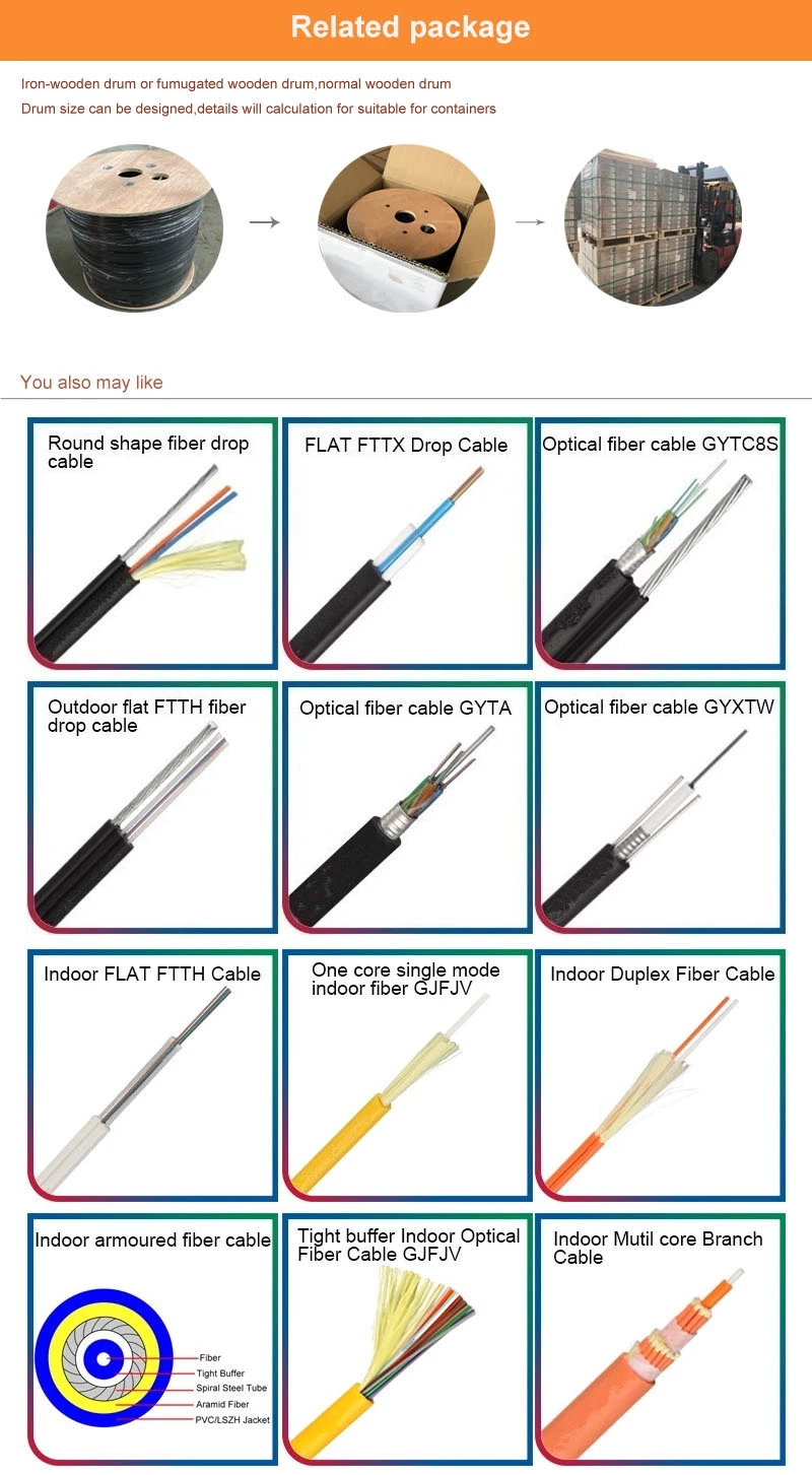 Flat Drop FTTH Cable Optical Fiber Communication Cable Sc-Sc Connectors