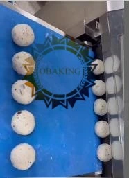 Divisore continuo di pasta per panetti industriali di hamburger compongono Linea