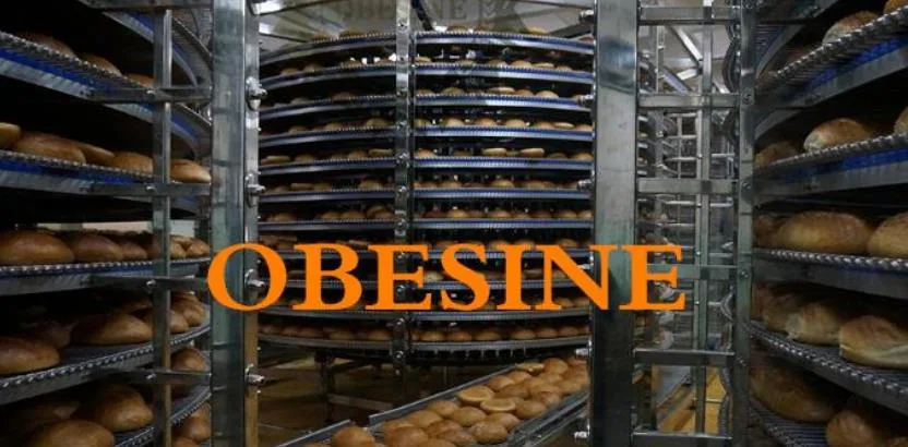 Best Bread Machine Hamburger Buns Bakery Machinery Industrial Dough Divider