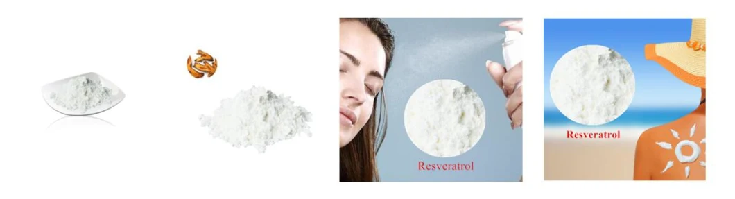 Rapid Delivery for China Resveratrol CAS No. 501-36-0