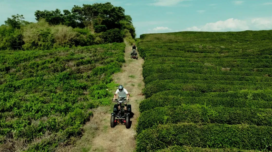 Electro Standing ATV, Farm ATV, 4 Wheel Scooter for off Road