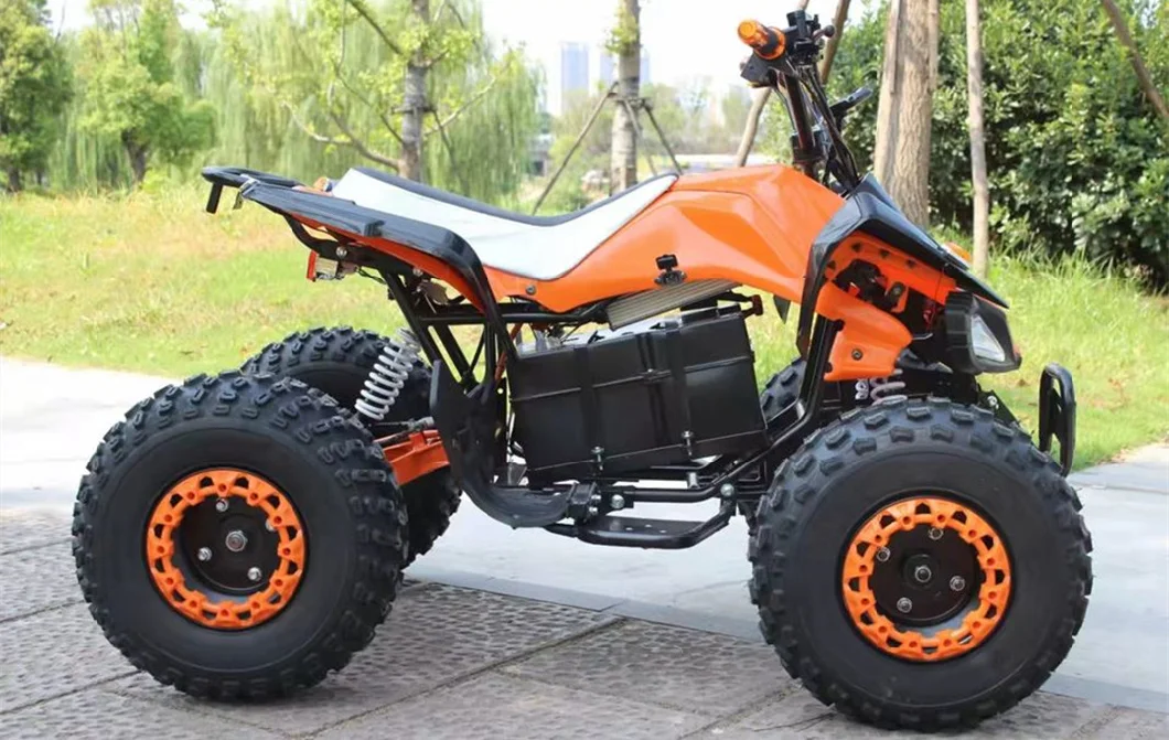 Mini Electric Quad Bike 48V/60V 1200W Motor All-Terrain Beach Motorcycle ATV