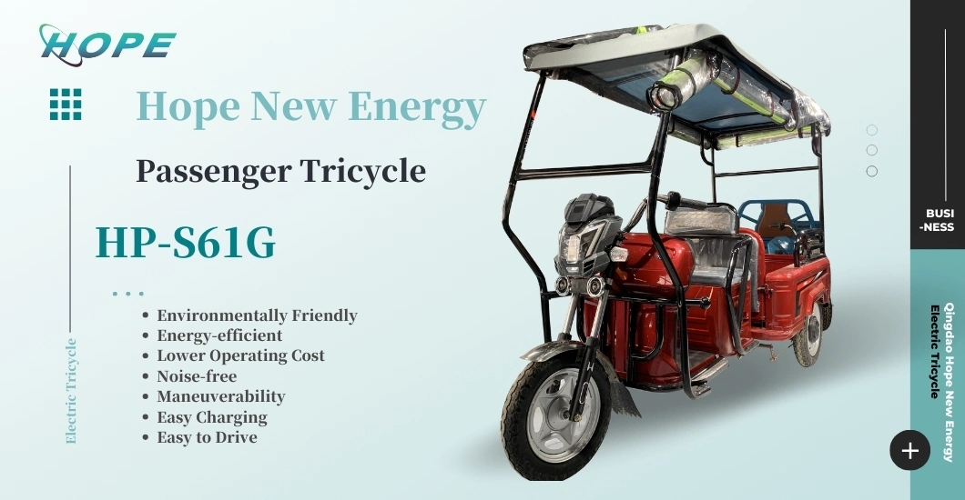 Best Price Adult Trike/Electric Tricycle for Sale 3 Wheel Electric Motorcycle Three Wheeler Lead Acid Battery
