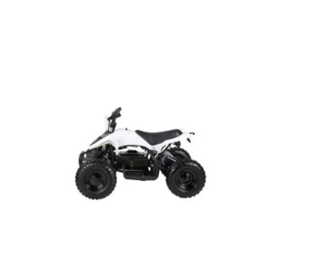 Kids Four Wheeler 4 Wheelers Quad for Kids ATV Electric