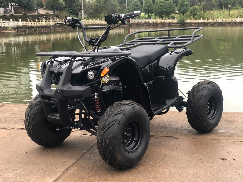 Electric ATV for Kids - 1000W 60V Power with CE Certification